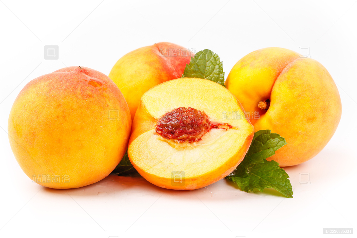 站酷海洛_正版图片_视频_字体_音乐素材交易平台