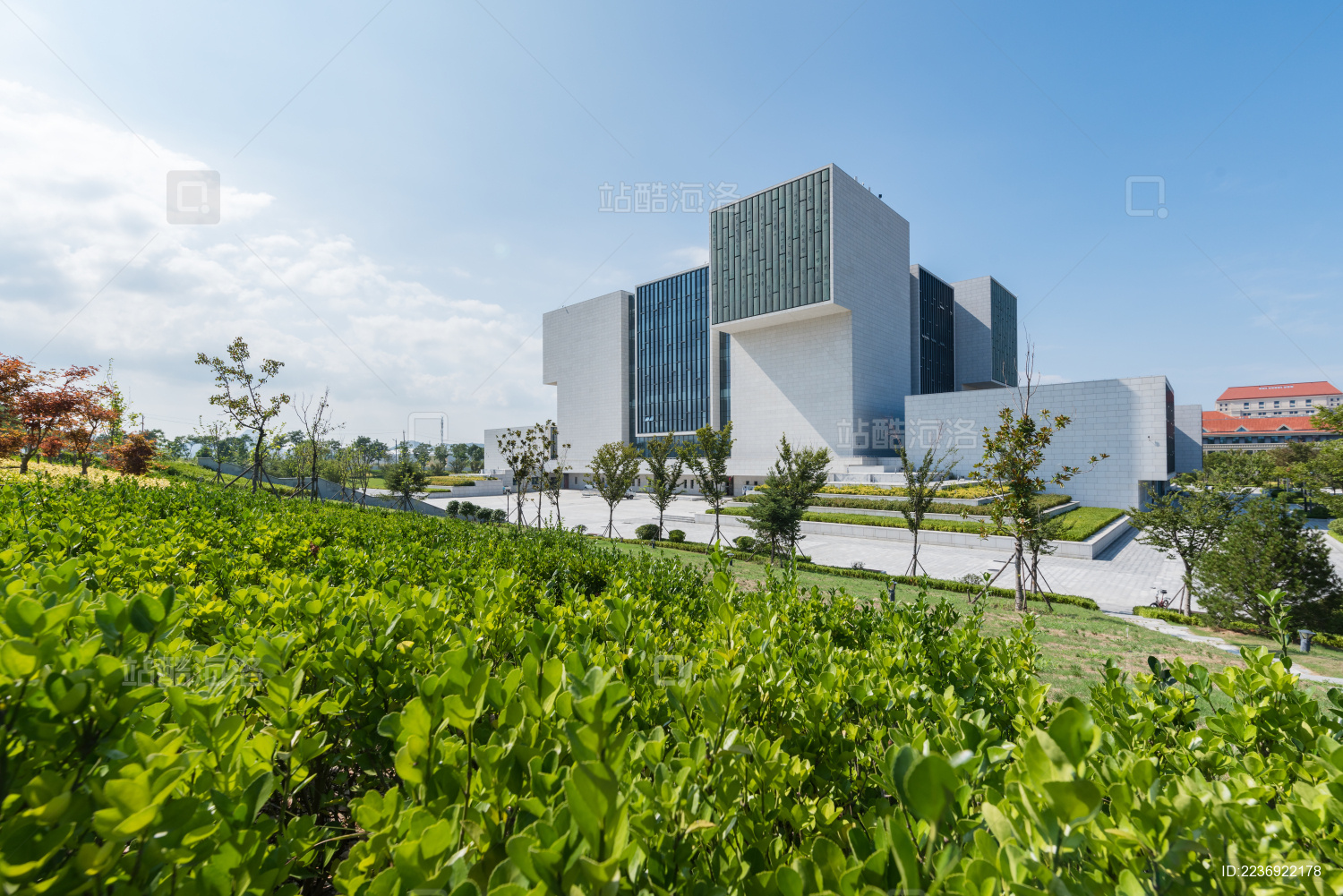 山东大学青岛分校校区环境