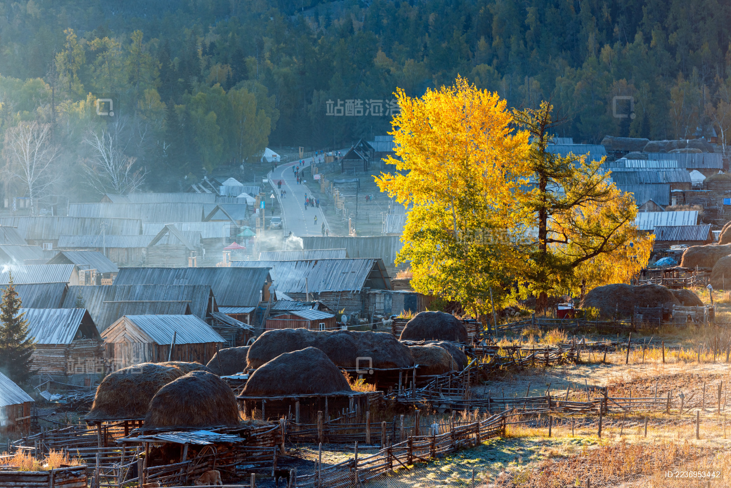 中国新疆阿勒泰地区白哈巴村秋天清晨的景色