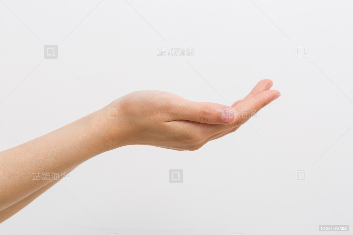 女性的双手伸出概念 白色背景