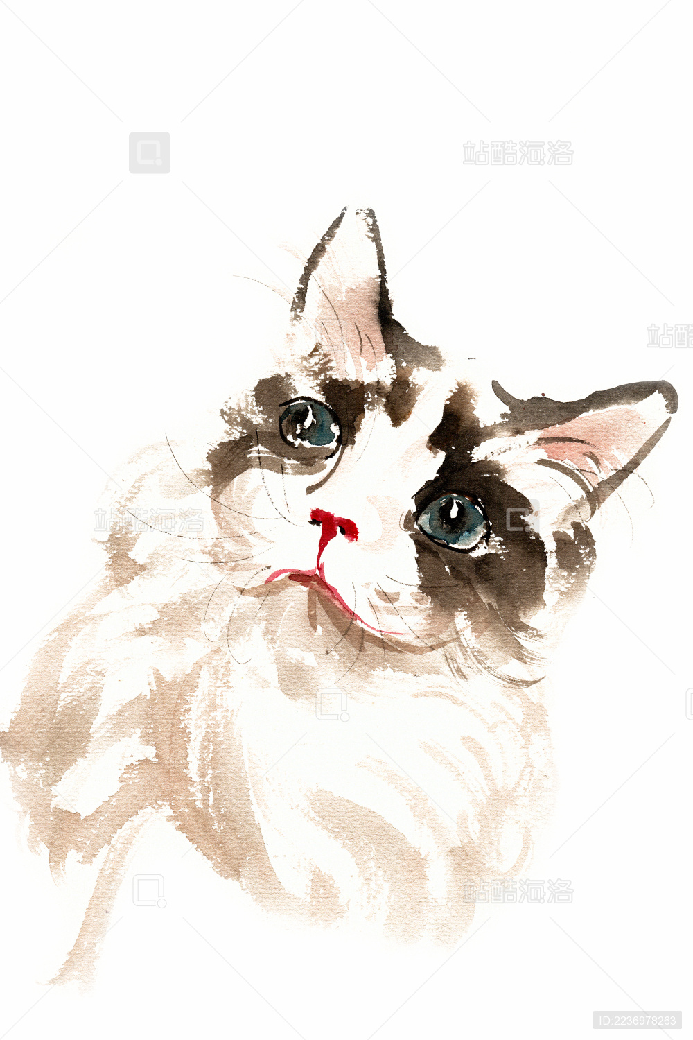 一只呆萌可爱的小猫眺望远方