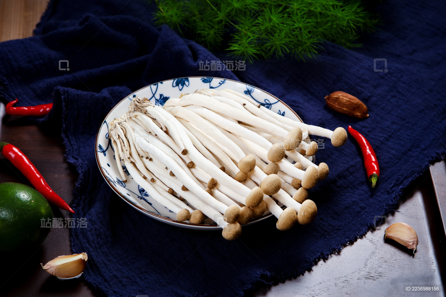 食用菌类食材新鲜美味的蘑菇真姬菇