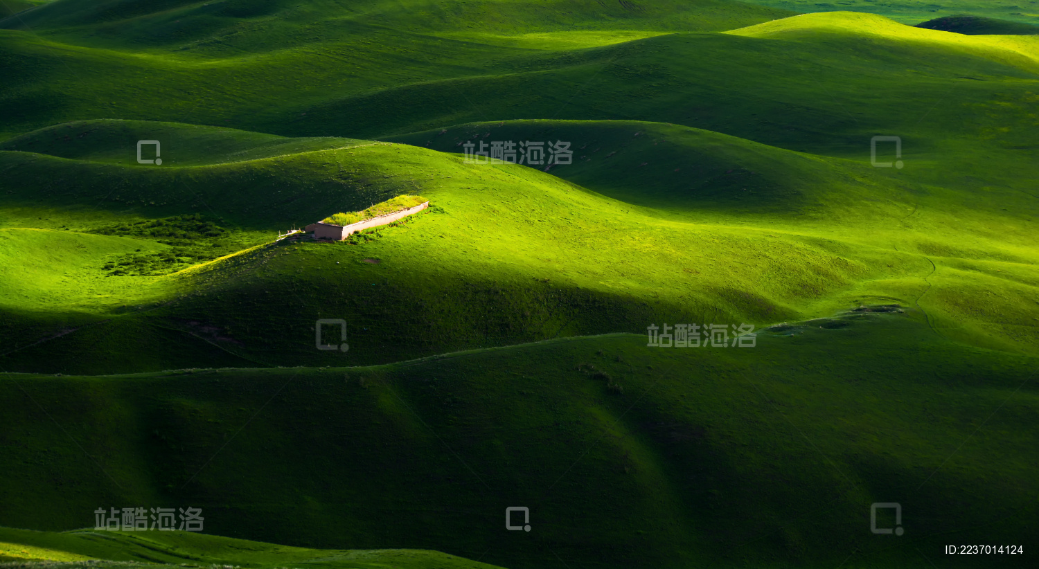 中国新疆伊犁喀拉峻草原春季风光