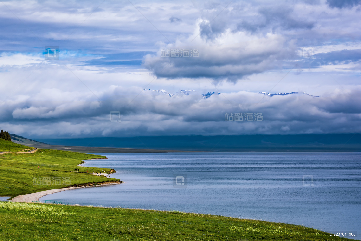 中国新疆伊犁喀拉峻草原春季风光