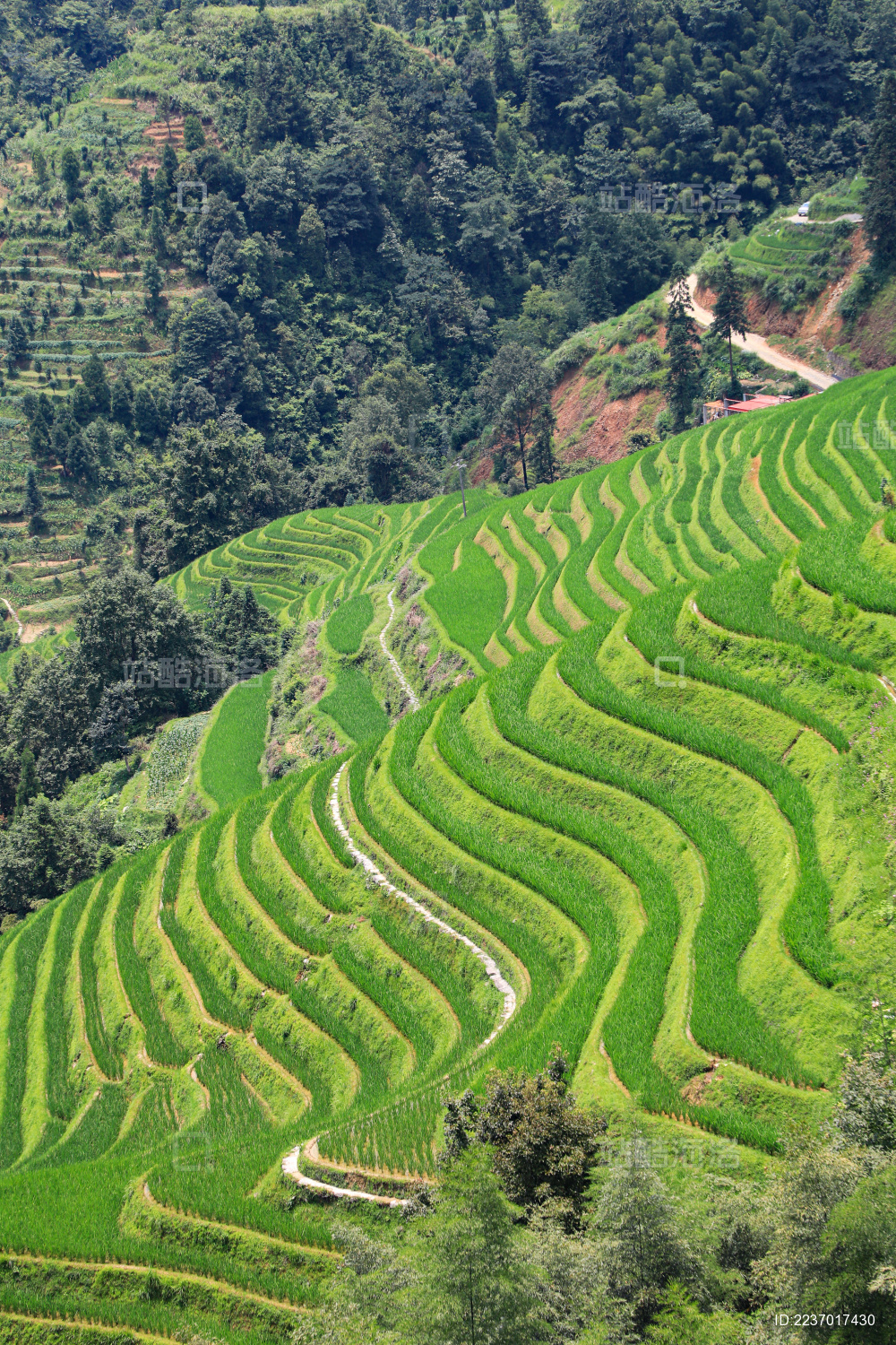广西壮族自治区龙胜各族自治县龙脊镇龙脊梯田
