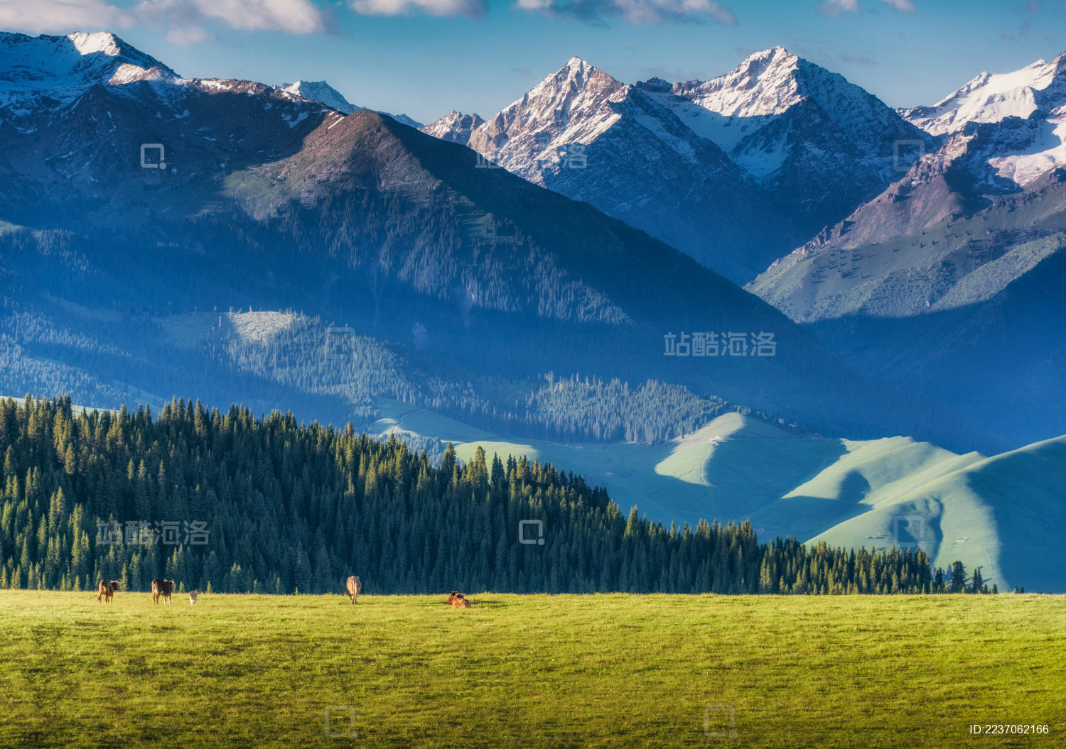 中国新疆伊犁喀拉峻草原春季风光