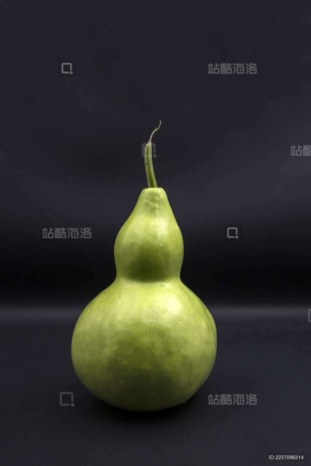 黑色背景前的一个葫芦瓜特写静物摄影