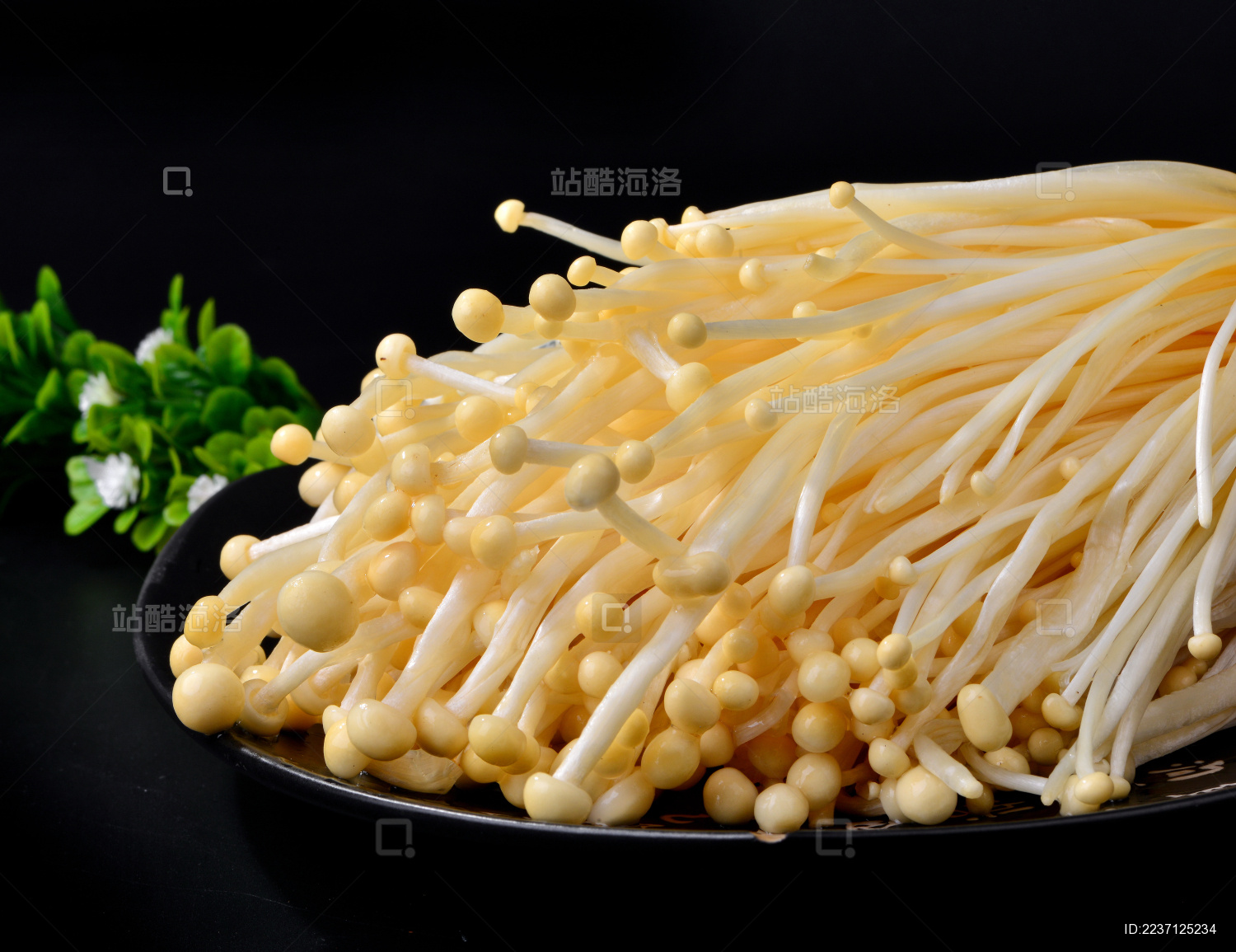 新鲜蔬菜食菌类食材金针菇