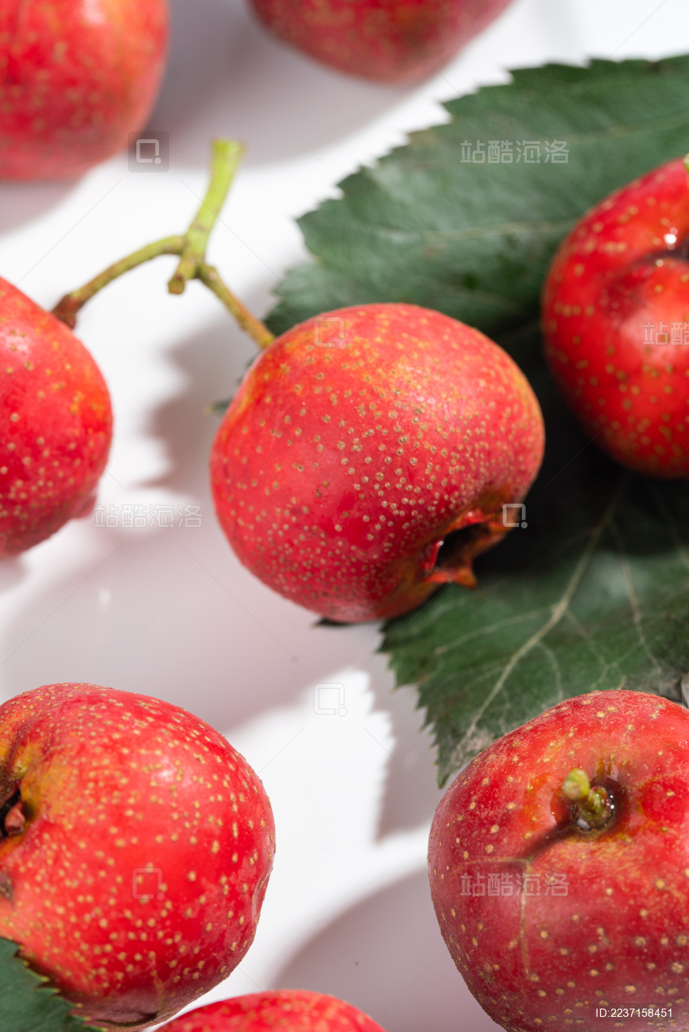 白色背景上的红色山楂