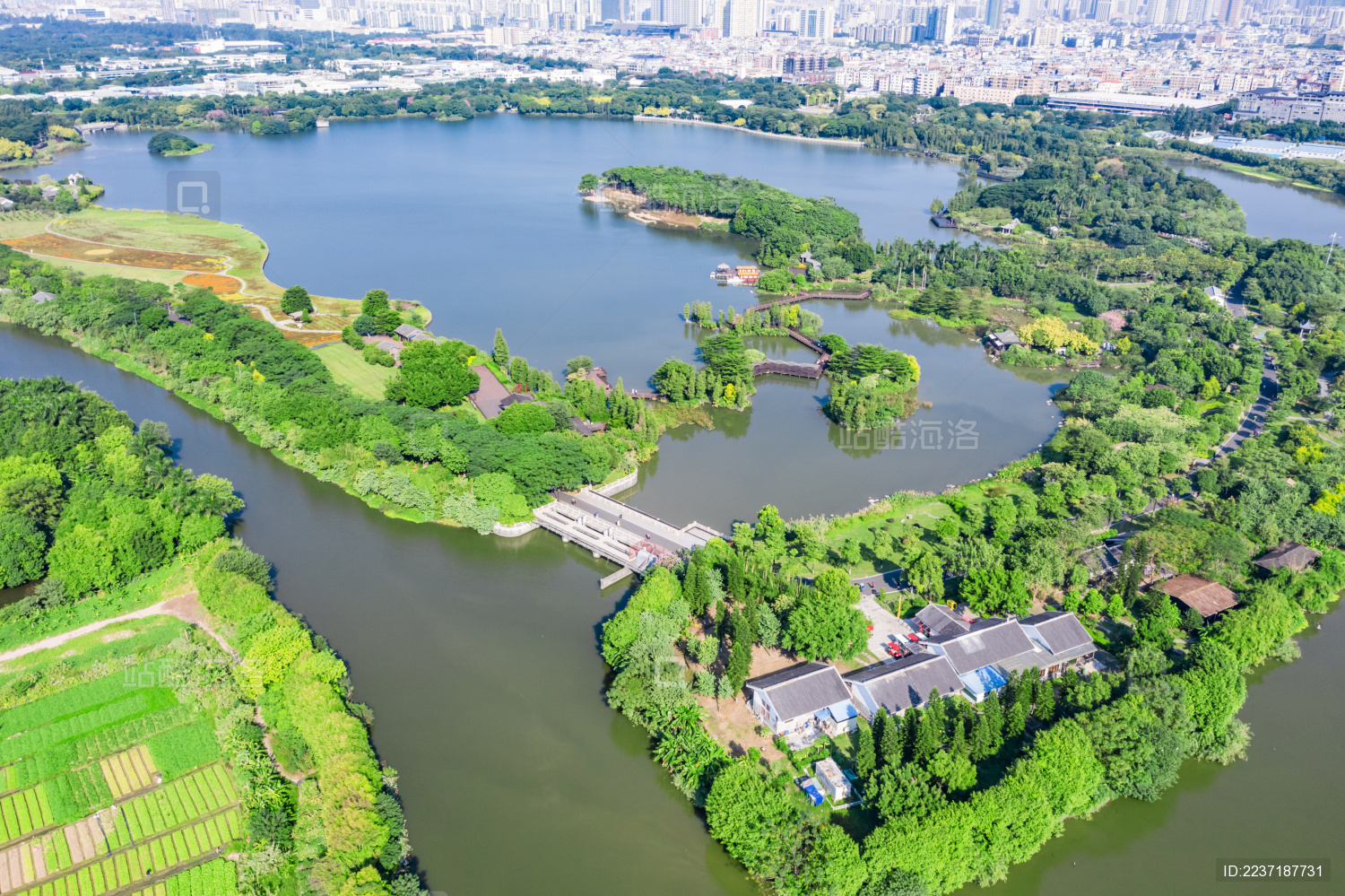 上午航拍广州市海珠湖湿地公园风光