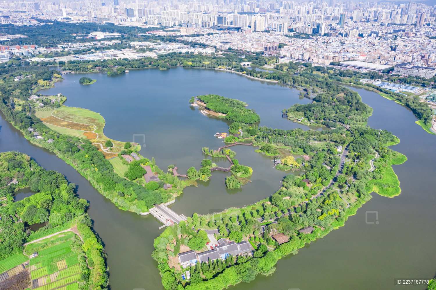上午航拍广州市海珠湖湿地公园风光