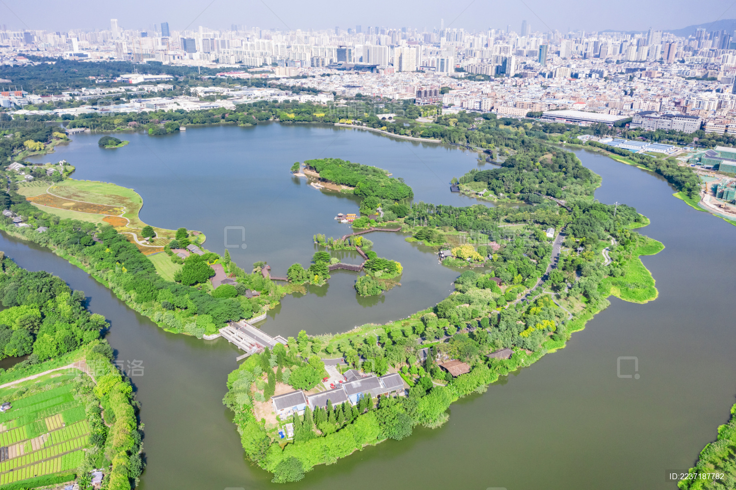 上午航拍广州市海珠湖湿地公园风光