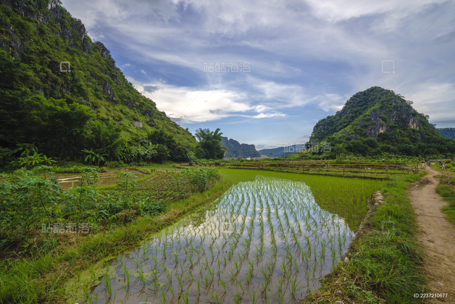 中国云浮市罗定县田园灌水自然风光