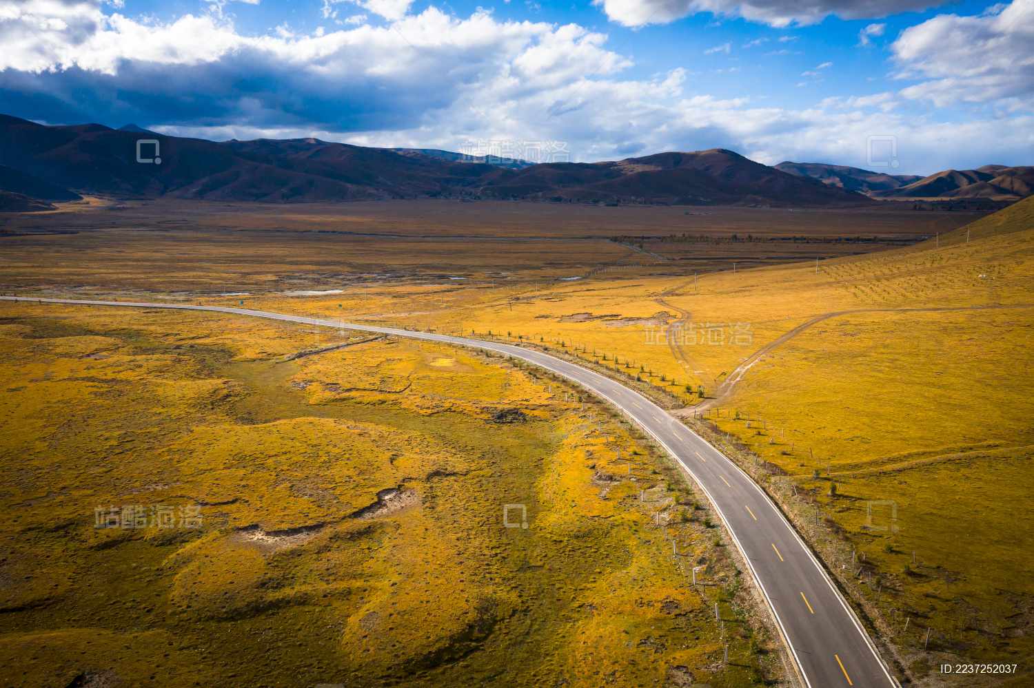 四川川西高原稻城色拉乡草原牧场风光