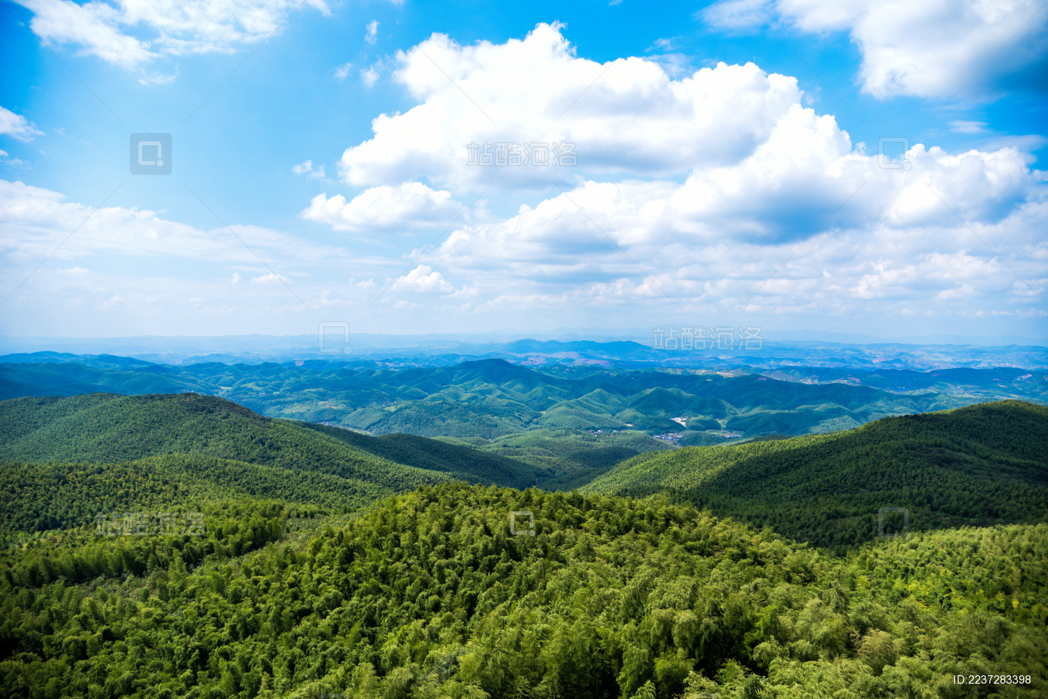 中国湖南省郴州地区竹海