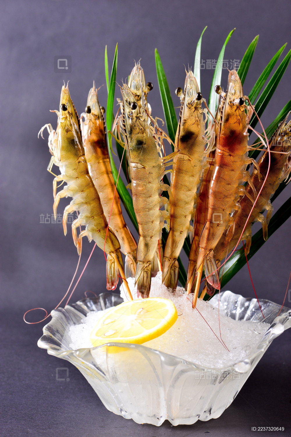 甜虾横屏素材下载网站_横屏视频素材免费下载 甜虾横屏素材下载网站_横屏视频素材免费下载