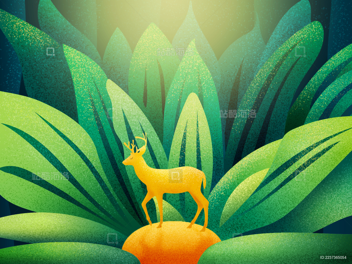 一只鹿在春分时节出来漫步跳跃寻找食物和爱情