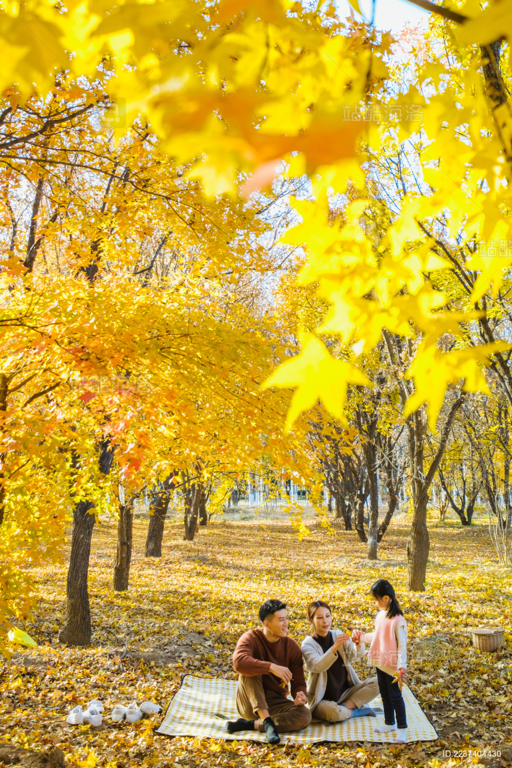 一家三口坐在秋天的树林里