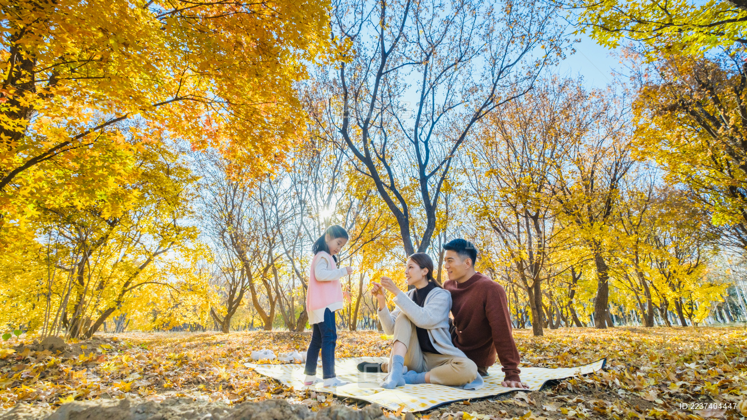 一家三口坐在秋天的树林里