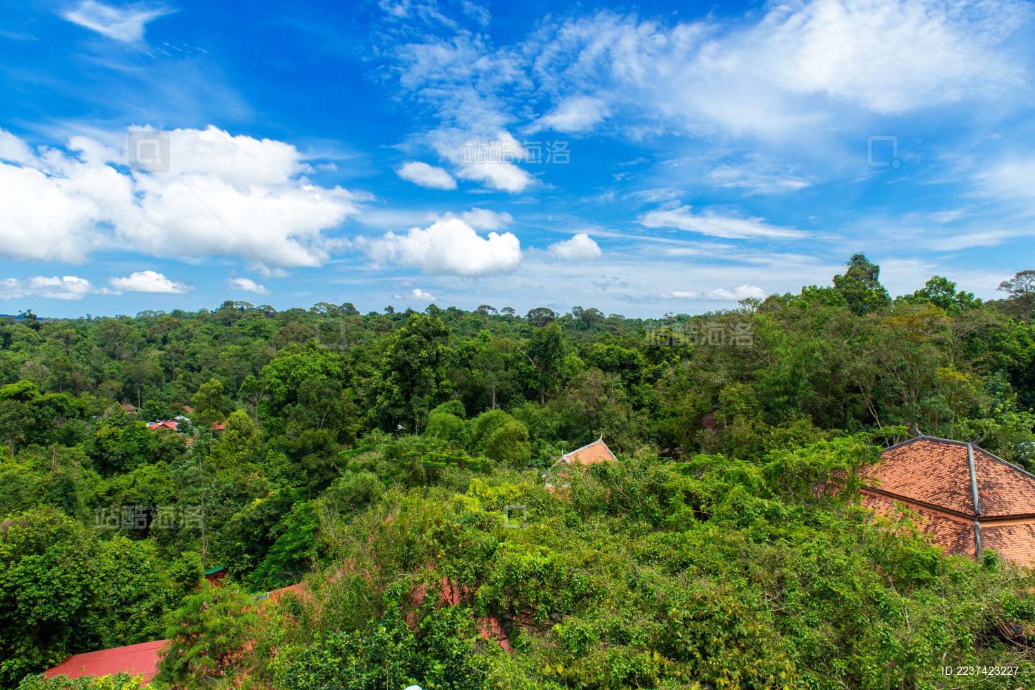 柬埔寨暹粒市荔枝山的自然风光
