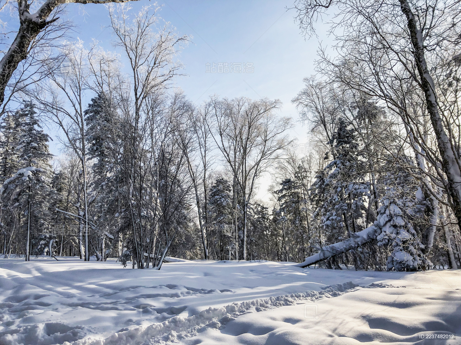 中国黑龙江哈尔滨亚布力滑雪旅游度假区风光