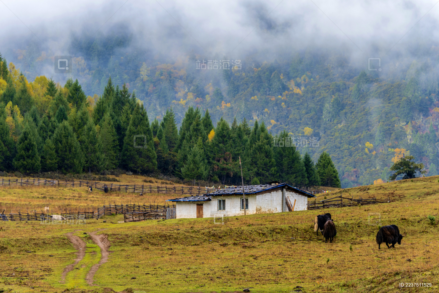 中国西藏林芝鲁朗扎西岗村秋景
