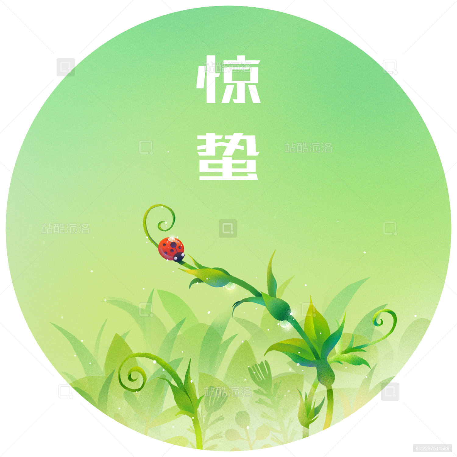 红色的瓢虫落在滴着露水的发芽嫩叶上