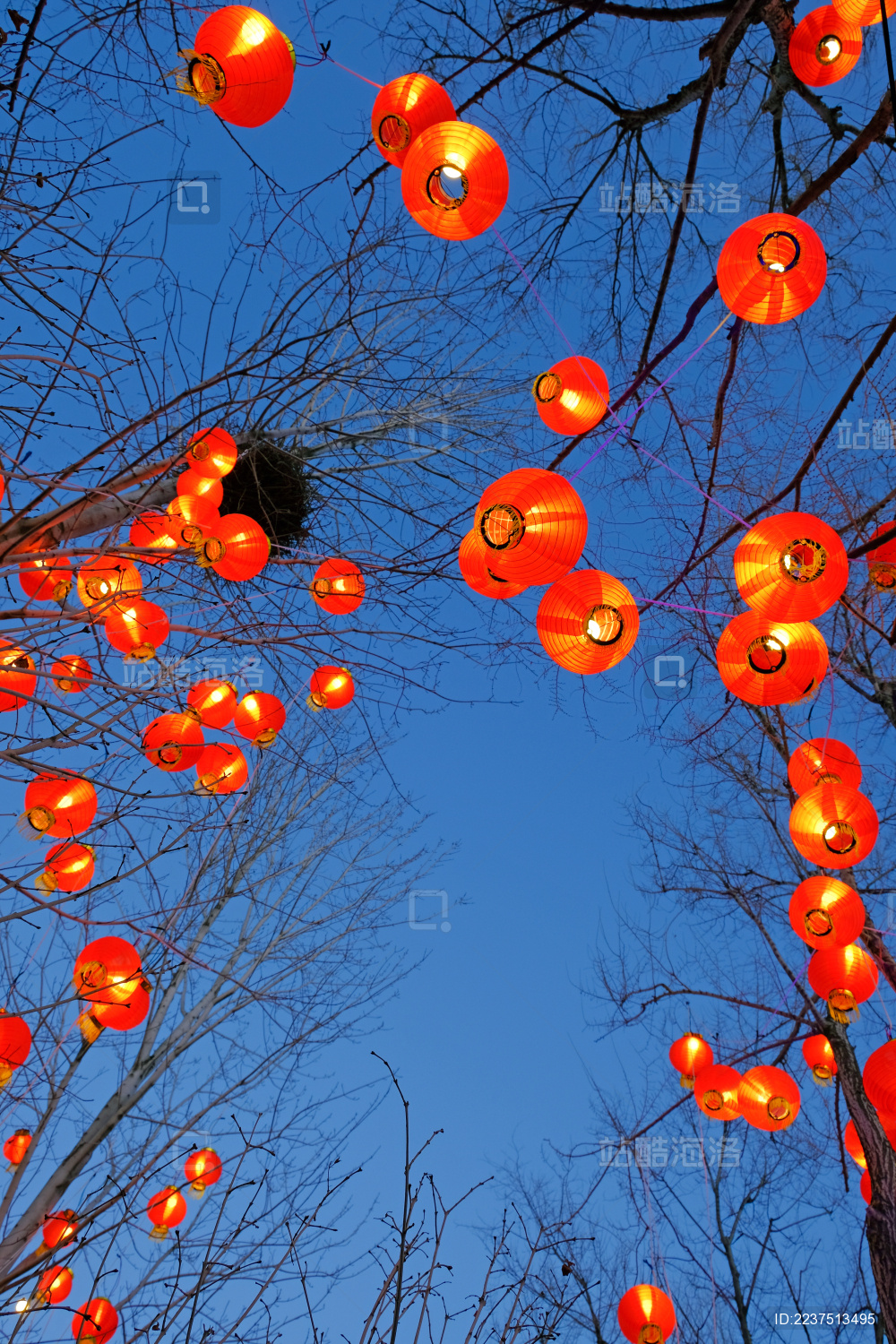 节日庆祝时傍晚树上悬挂的红灯笼