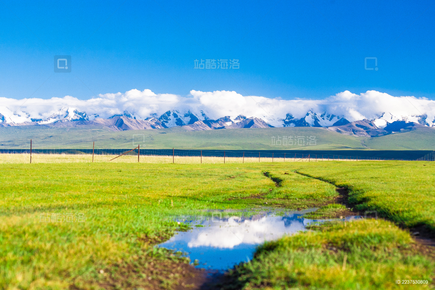 中国新疆巴音布鲁克草原的车辙与水坑