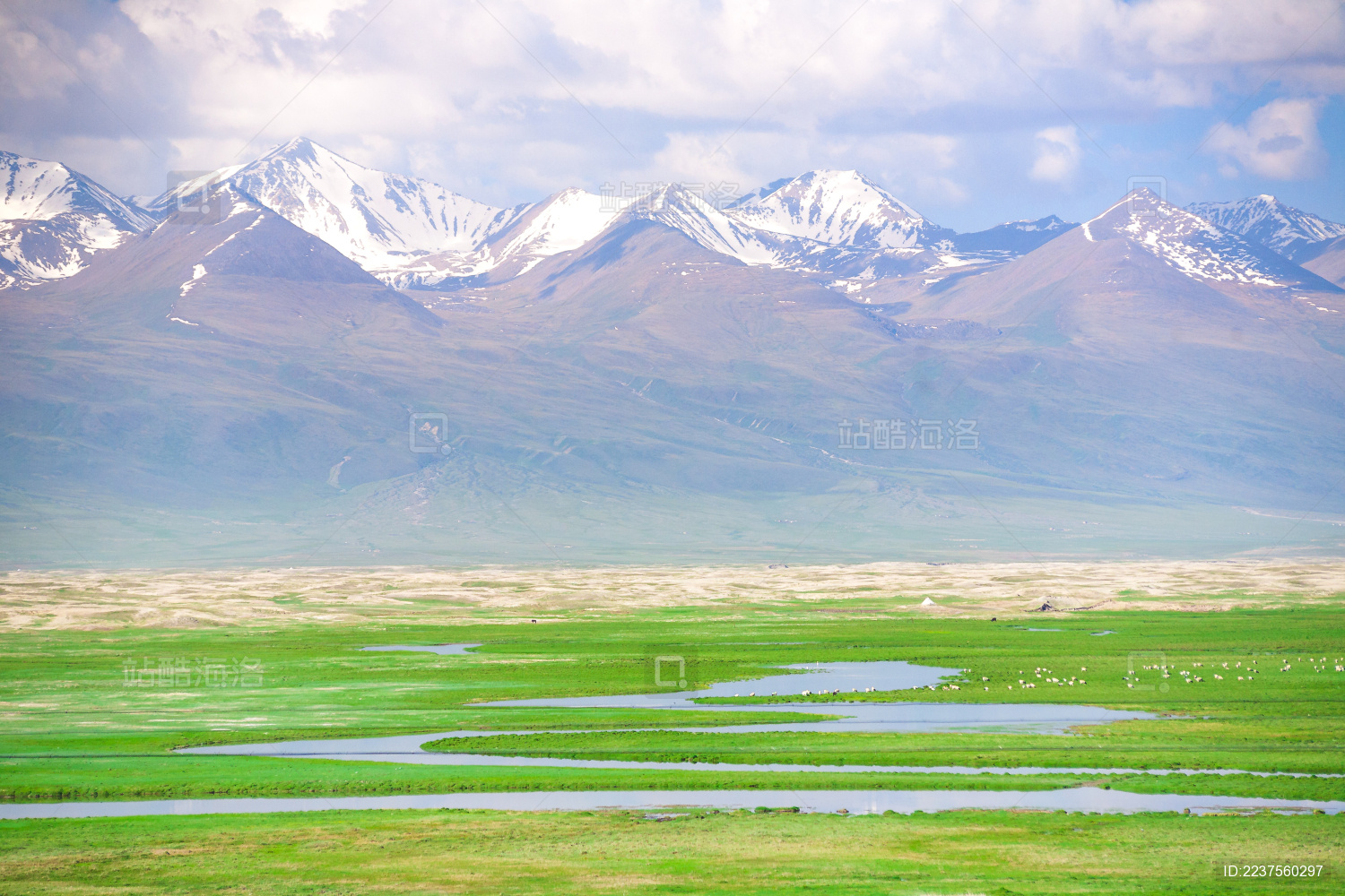 中国新疆巴音布鲁克草原初夏时节的景色