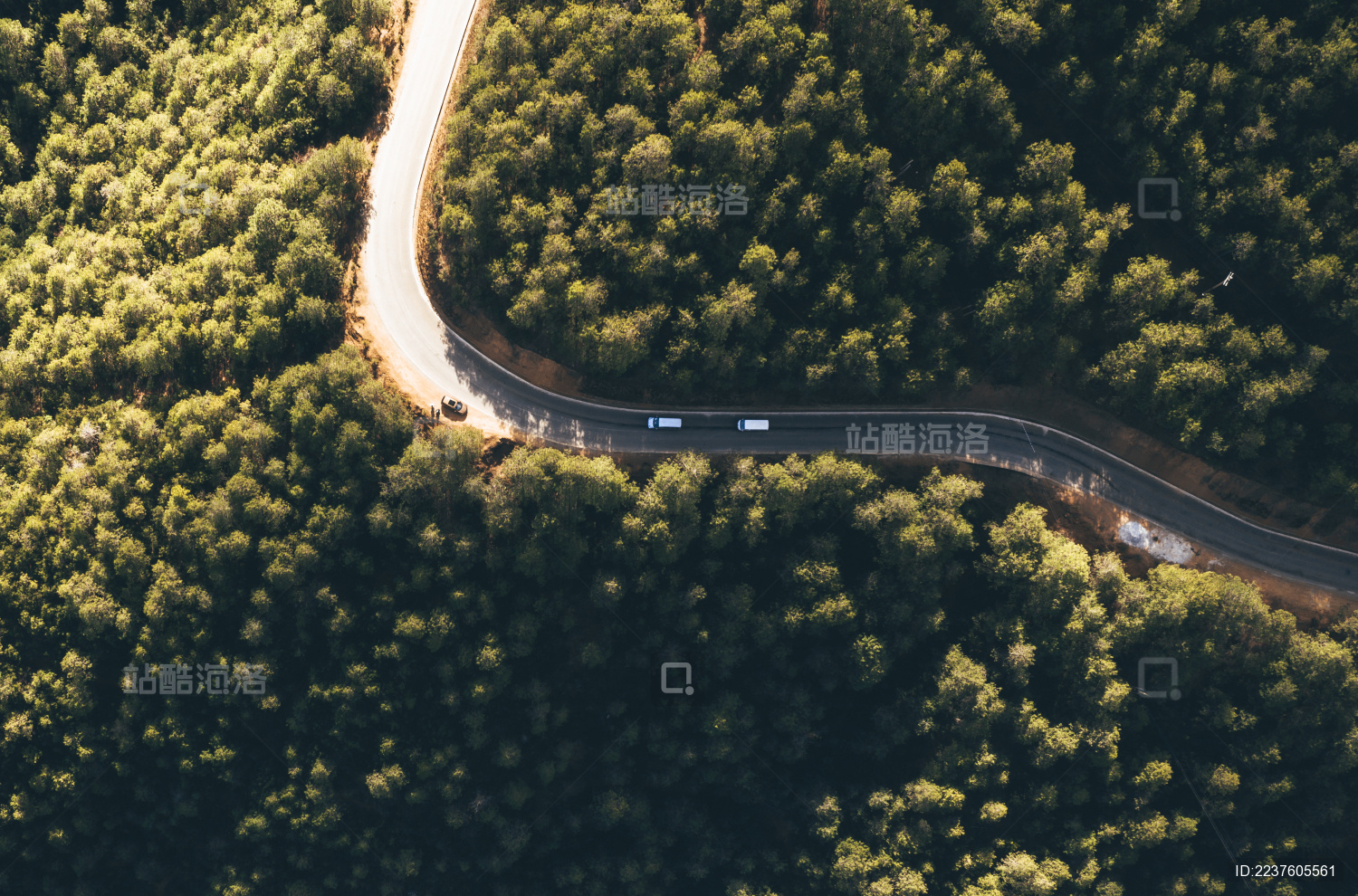 云南丽江泸沽湖海鸥与地貌