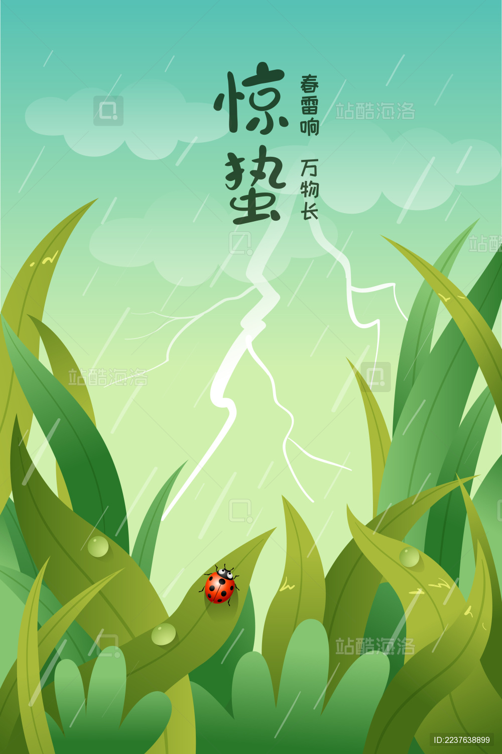 雷雨中一只瓢虫停在叶子上