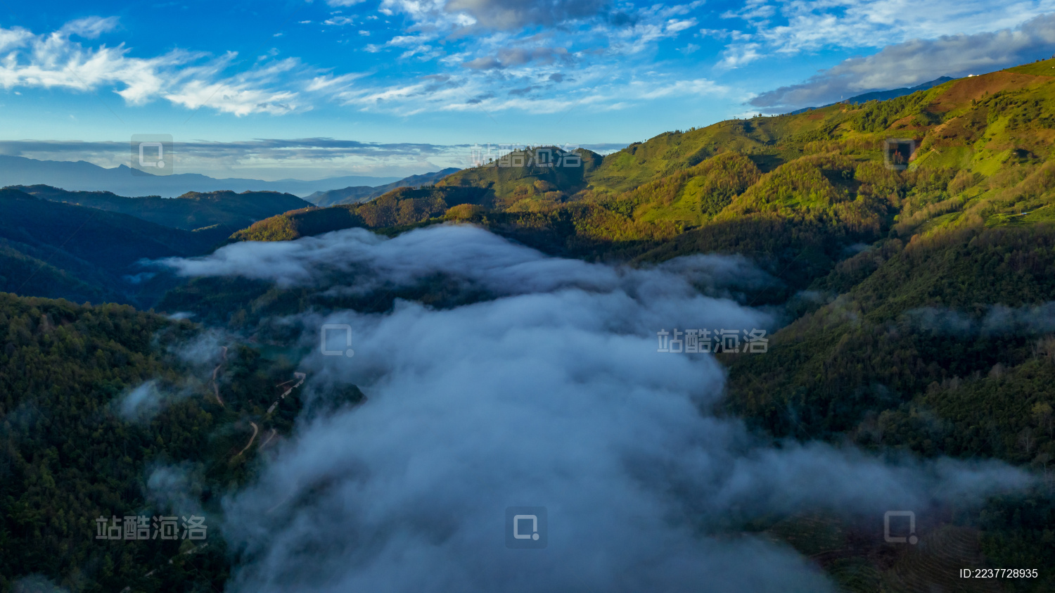 云南省临沧市双江勐库冰岛村