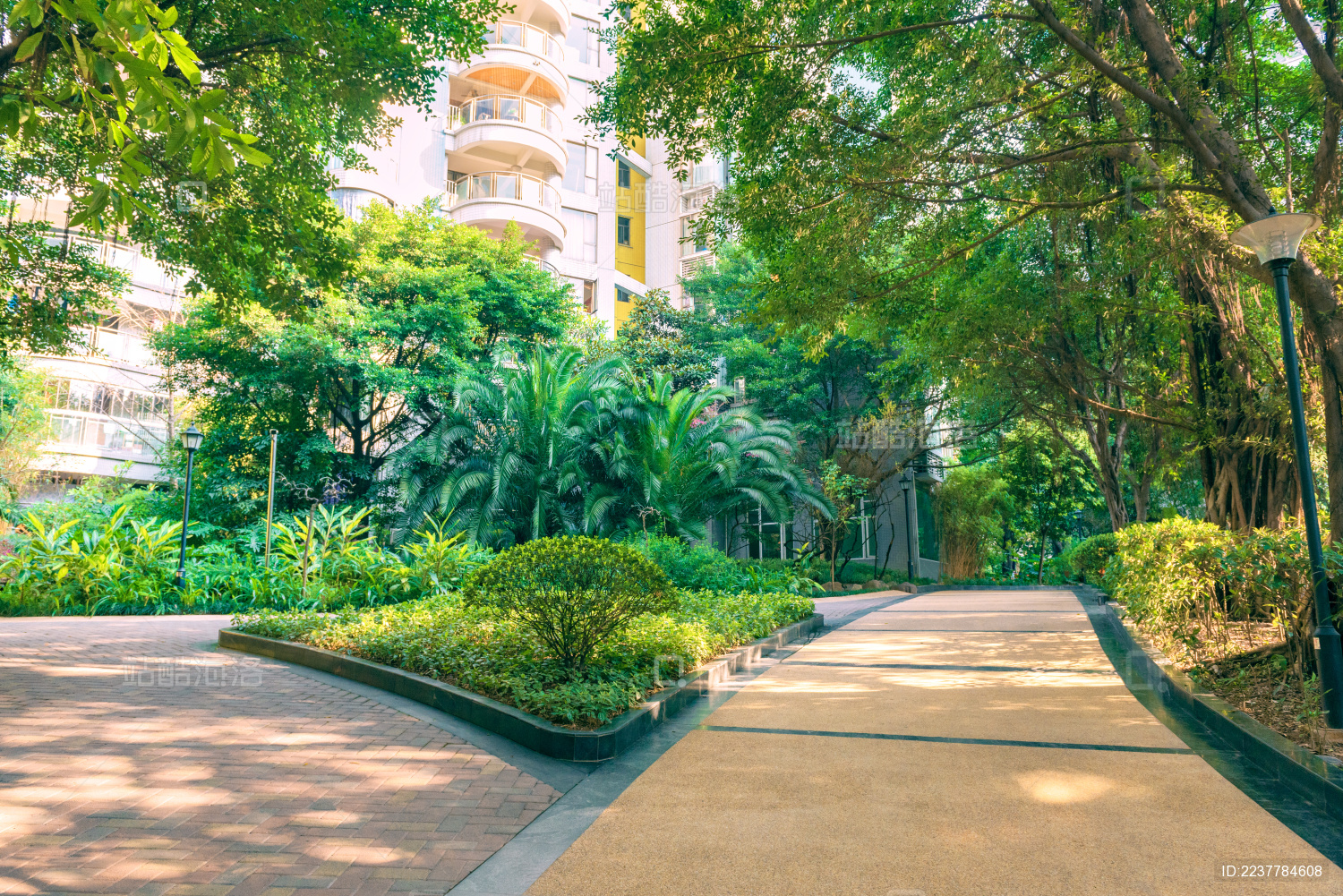 晴天的居民小区内部绿化景色