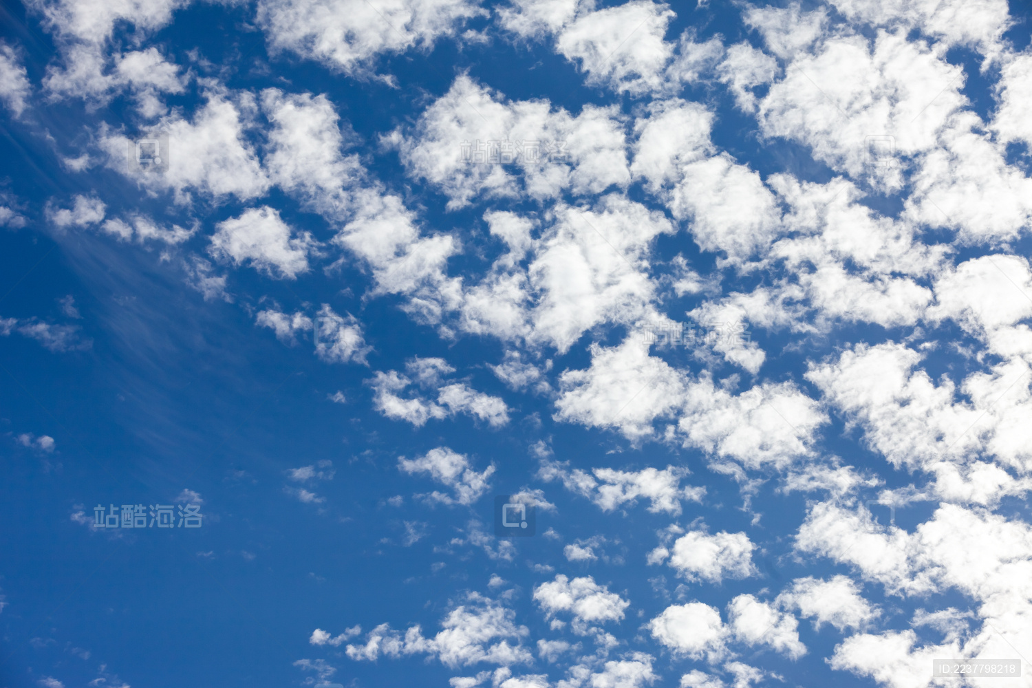 下午六点多的 像棉花糖一样的云满满的宫崎骏动漫画风……