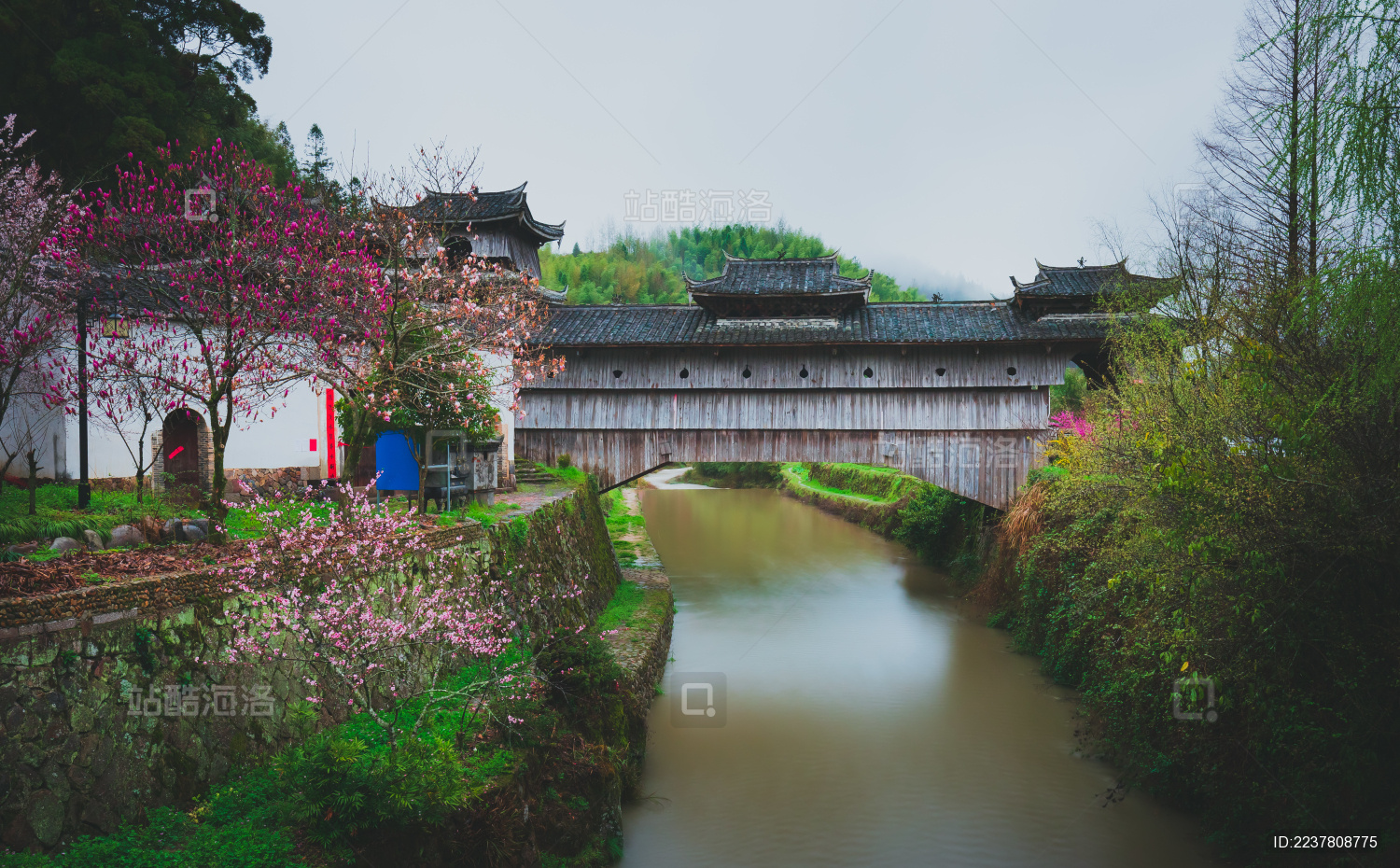 浙江丽水庆元县举水乡月山村如龙桥
