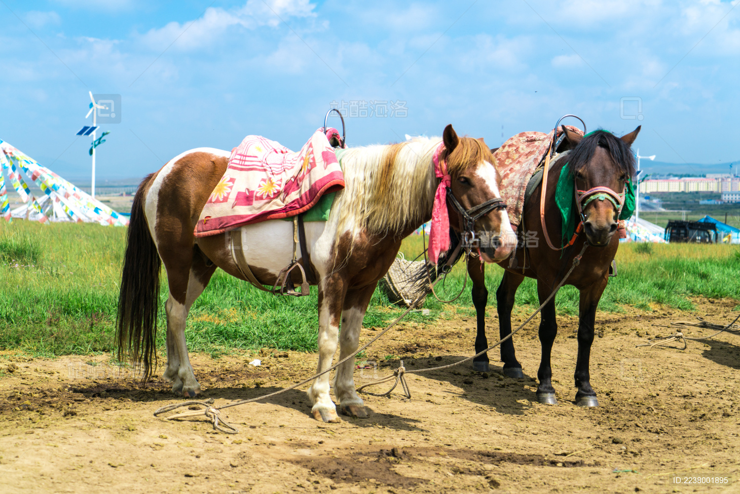 青海金银滩草原上的骏马经幡和蒙古