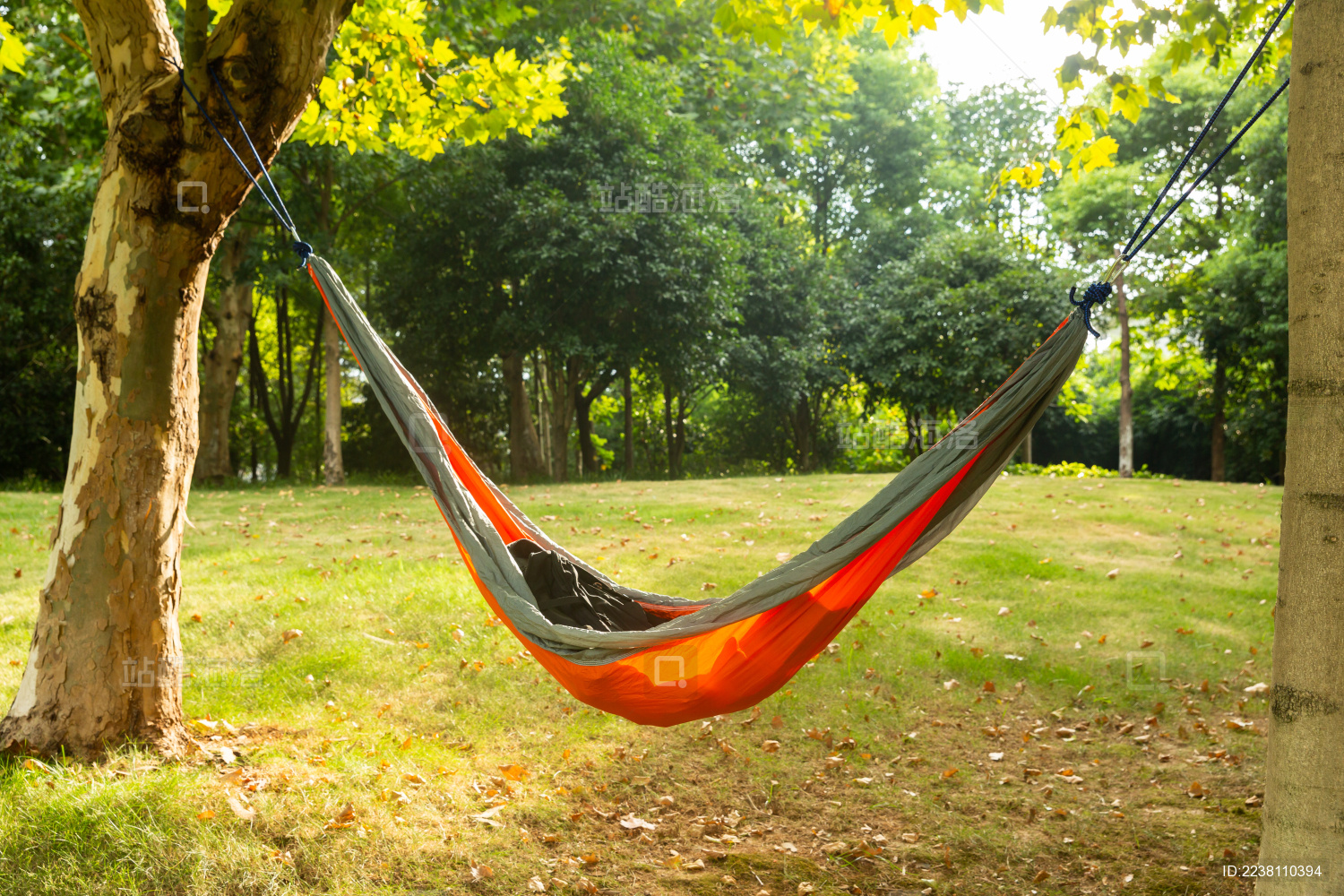 两棵树之间的吊床