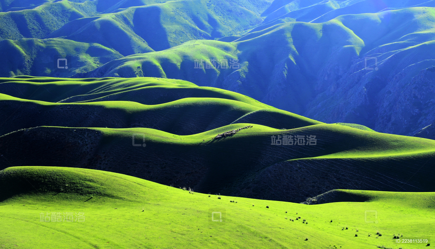 中国新疆伊犁喀拉峻人体草原