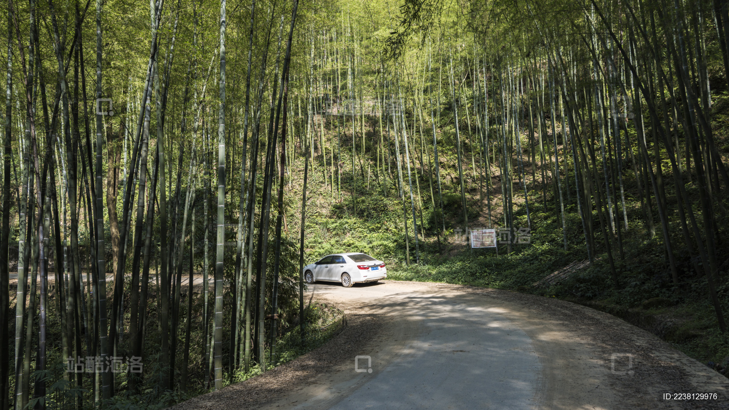 中国重庆永川竹海林间旅游公路