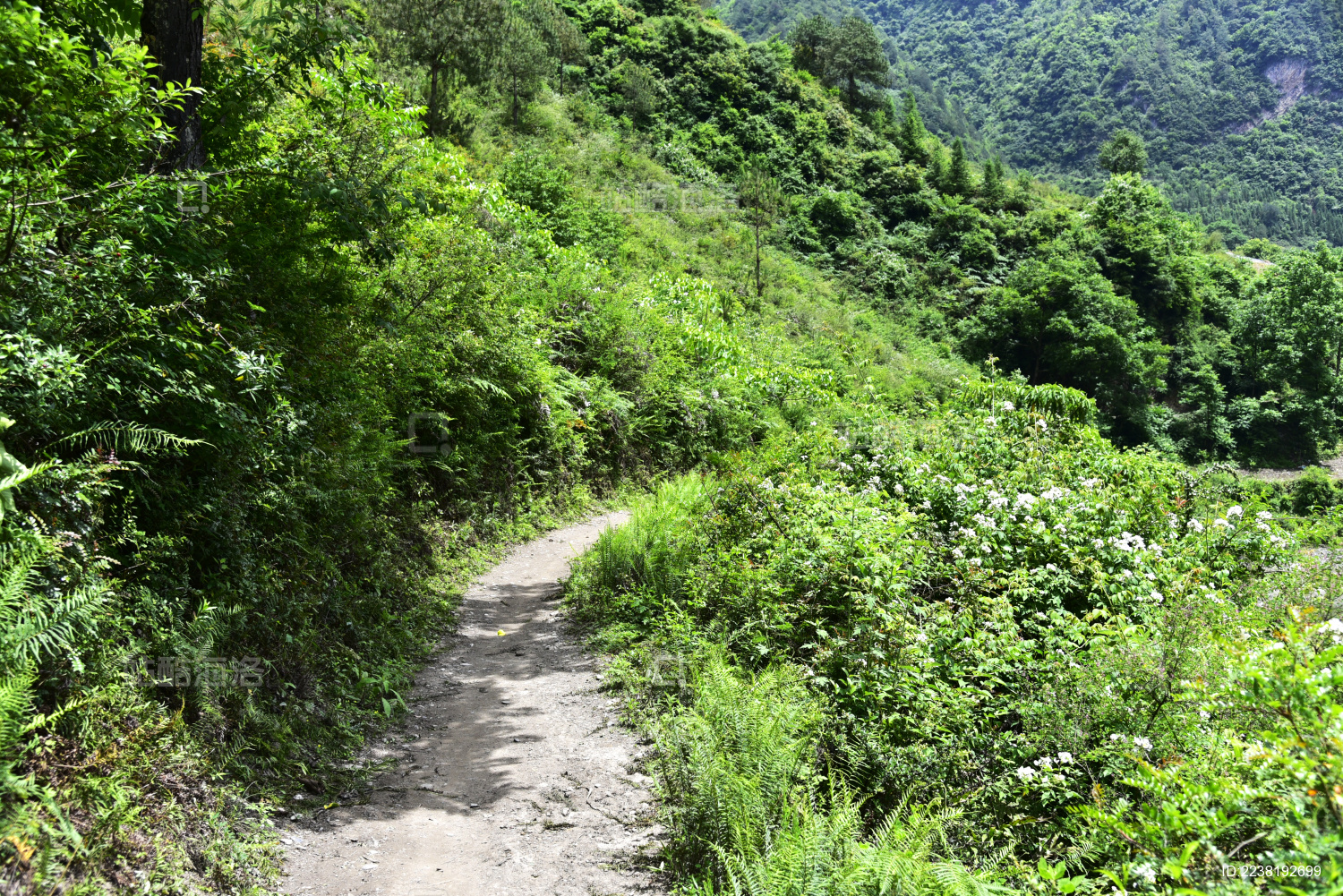 中国云南省怒江州贡山县丙中洛镇雾里村