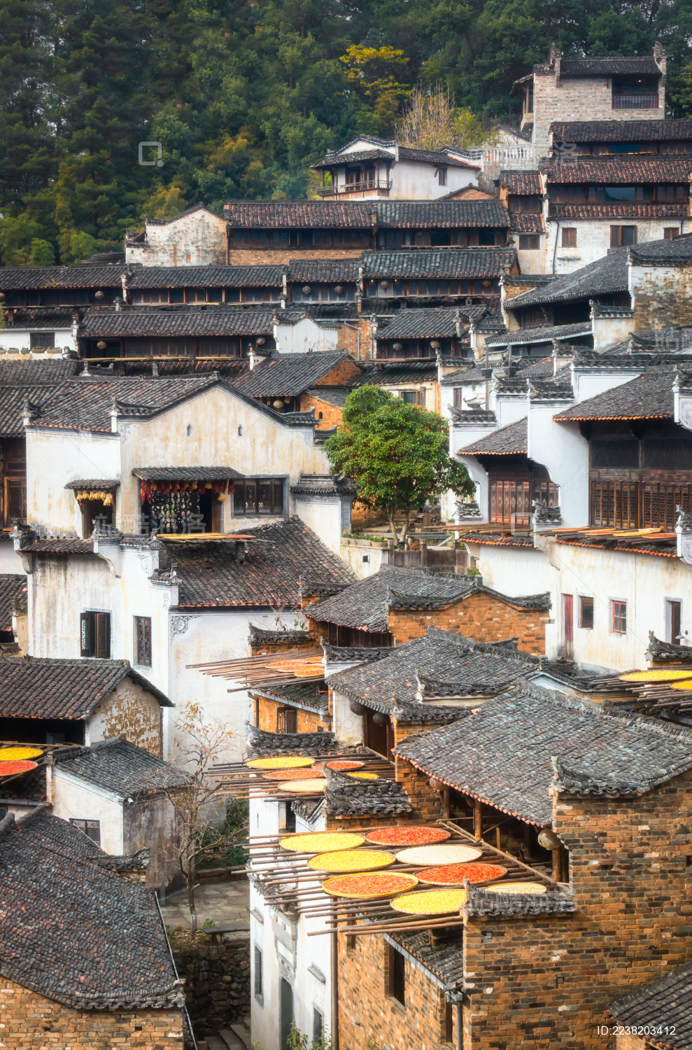 江西婺源县皇岭景区自然建筑风光