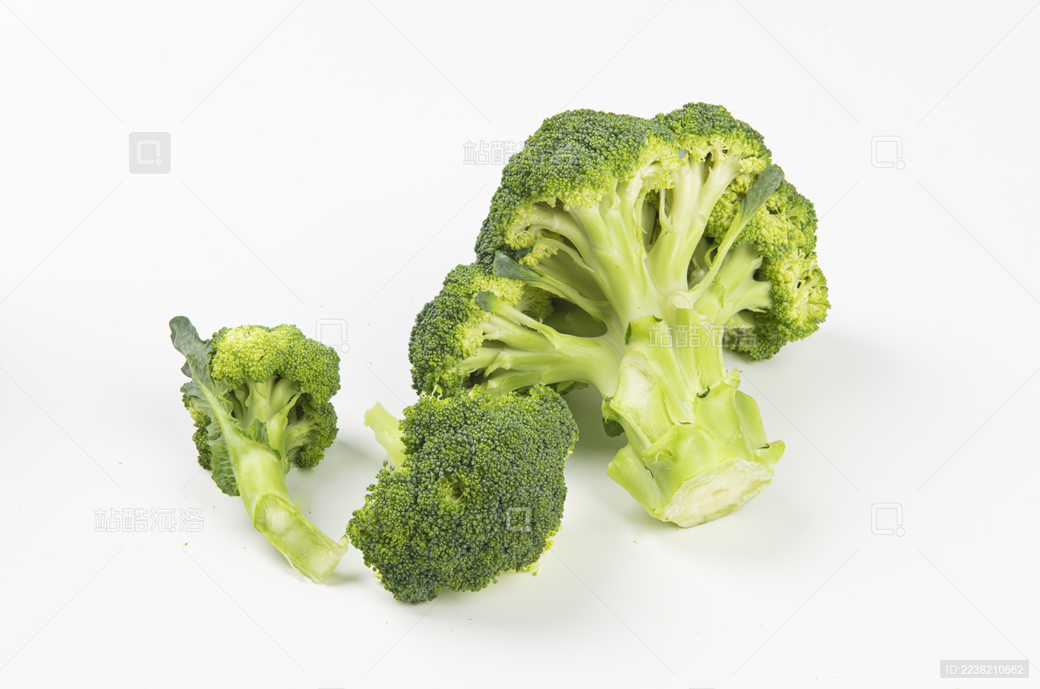 新鲜西兰花白底素材_站酷海洛_正版图片_视频_字体_音乐素材交易平台