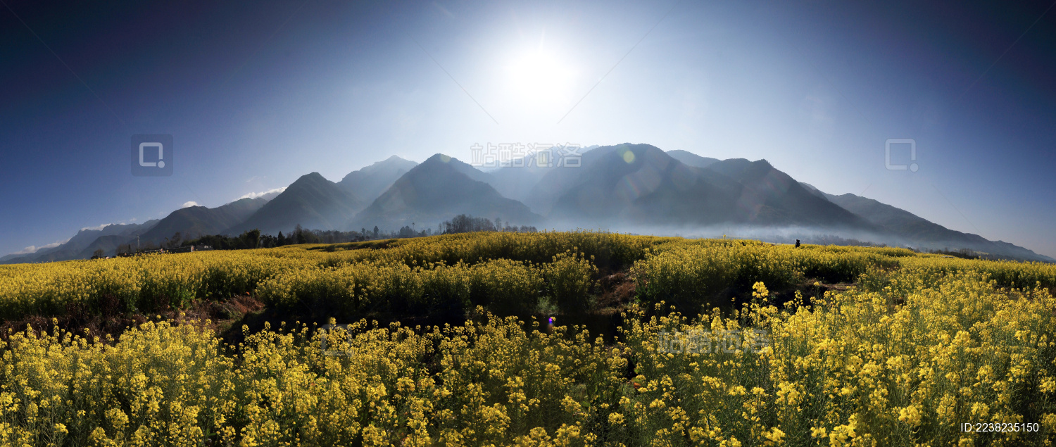 壮美的腾冲界头油菜花