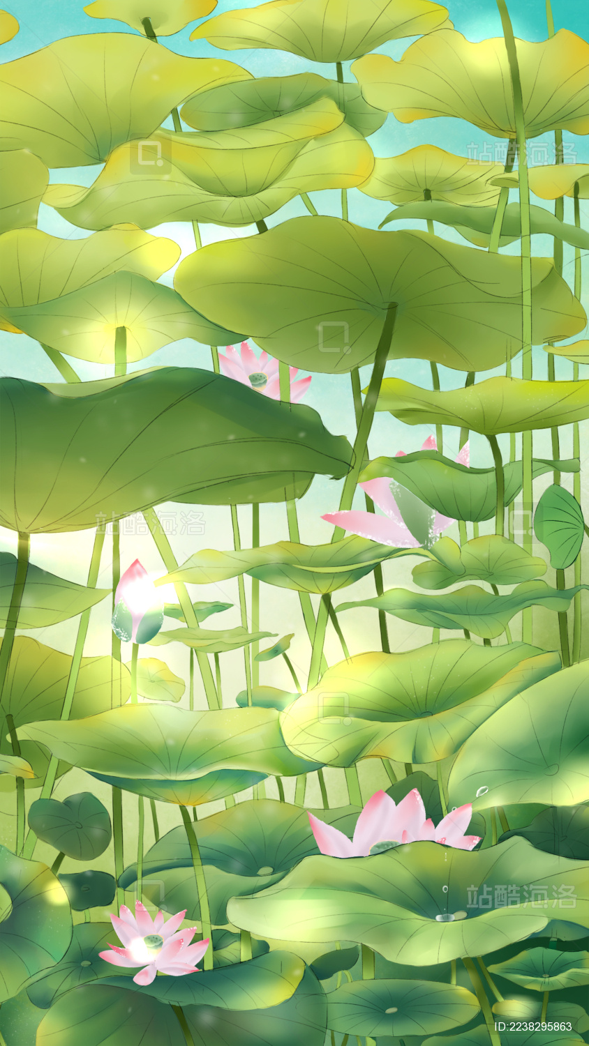 蓝天下的田田荷叶