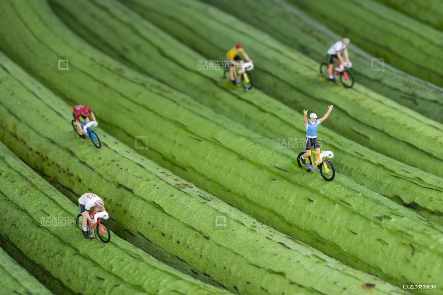 丝瓜上骑行的运动员