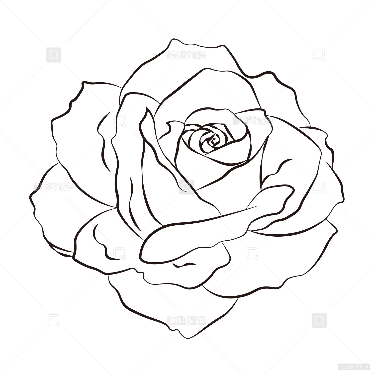 矢量白描玫瑰花