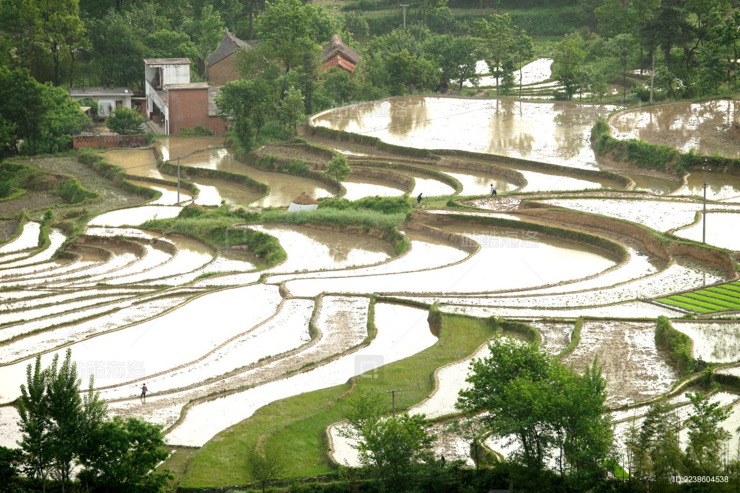 中国河南信阳市固始县固始锁口梯田