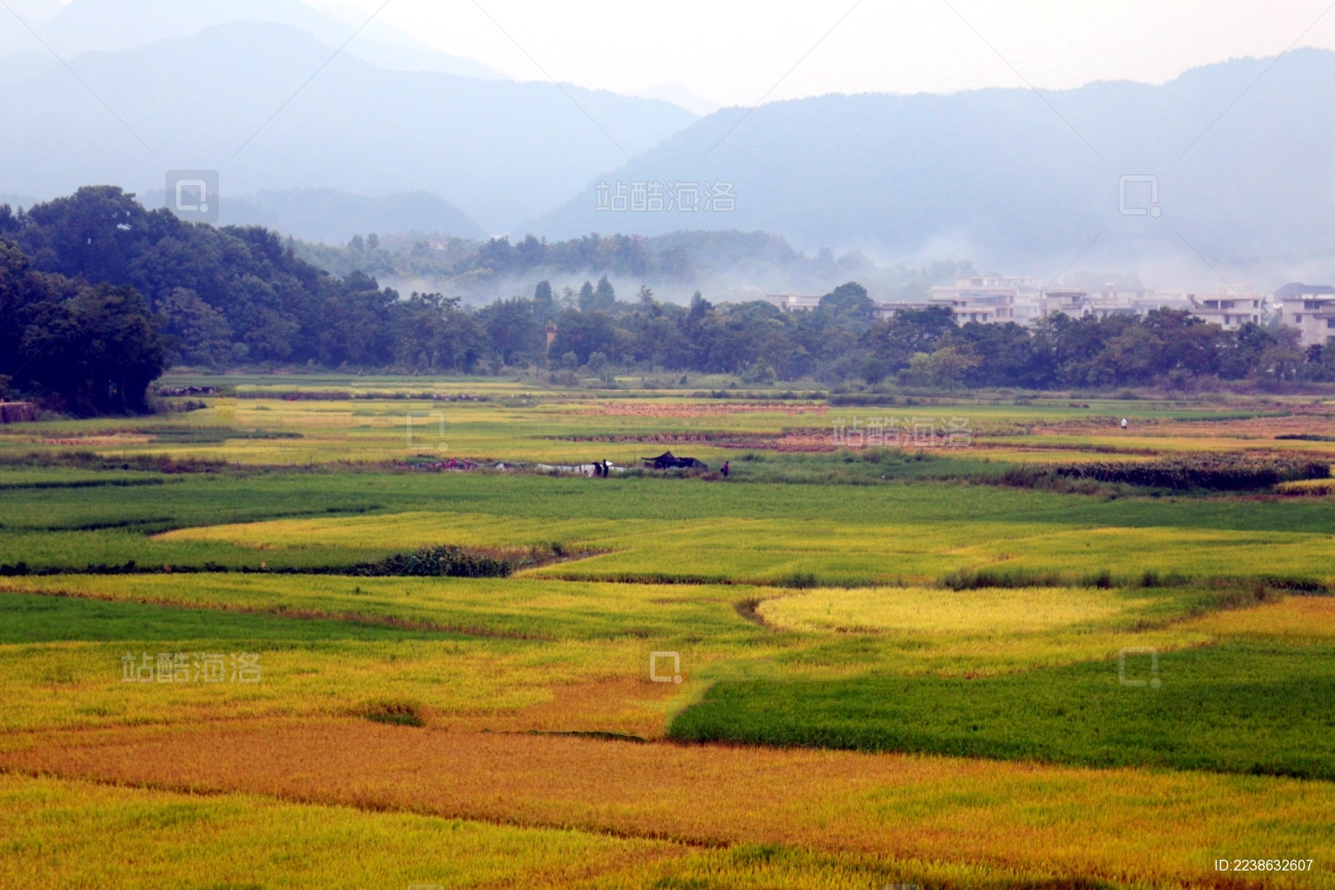 江西遂川：秋日美不胜收的田园美景