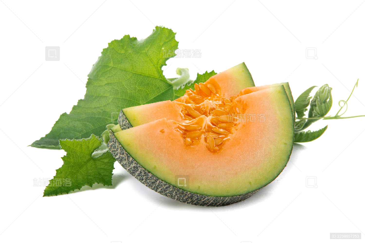 哈密瓜带叶子白底